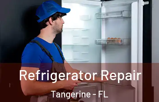  Refrigerator Repair Tangerine - FL