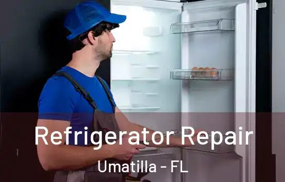 Refrigerator Repair Umatilla - FL