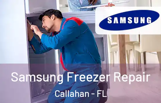 Samsung Freezer Repair Callahan - FL