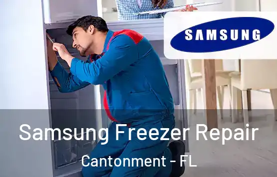  Samsung Freezer Repair Cantonment - FL