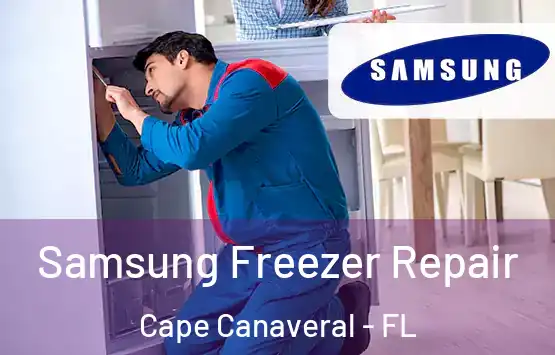  Samsung Freezer Repair Cape Canaveral - FL