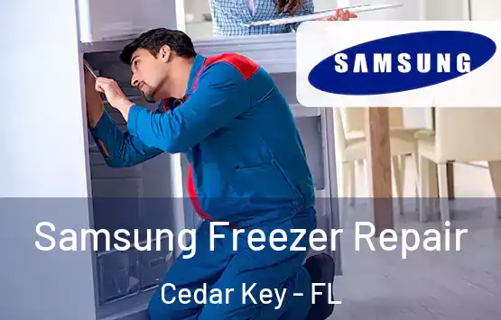  Samsung Freezer Repair Cedar Key - FL