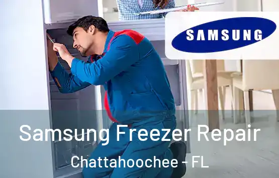  Samsung Freezer Repair Chattahoochee - FL