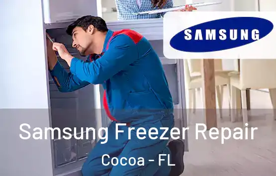  Samsung Freezer Repair Cocoa - FL
