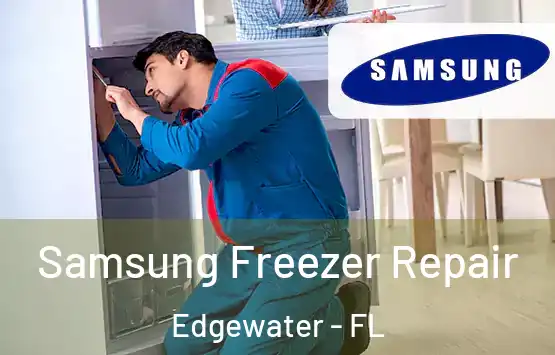  Samsung Freezer Repair Edgewater - FL