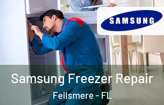  Samsung Freezer Repair Fellsmere - FL