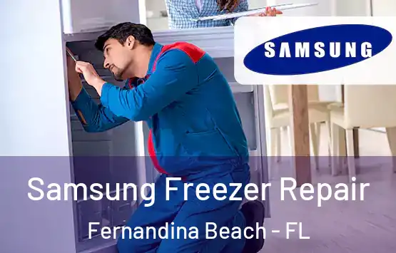 Samsung Freezer Repair Fernandina Beach - FL