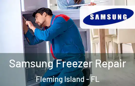  Samsung Freezer Repair Fleming Island - FL