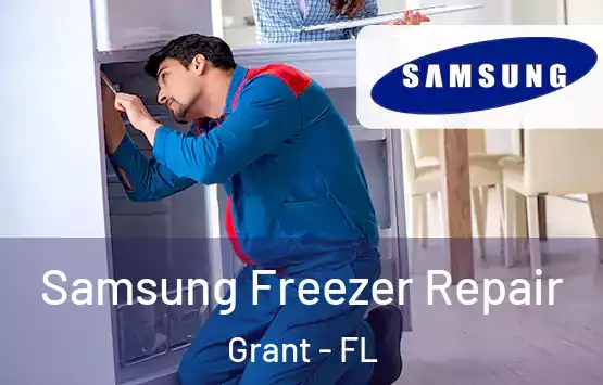  Samsung Freezer Repair Grant - FL