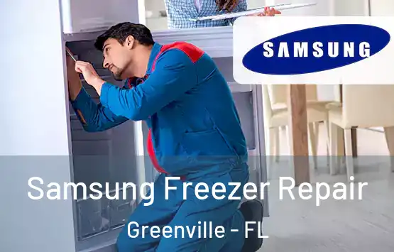  Samsung Freezer Repair Greenville - FL