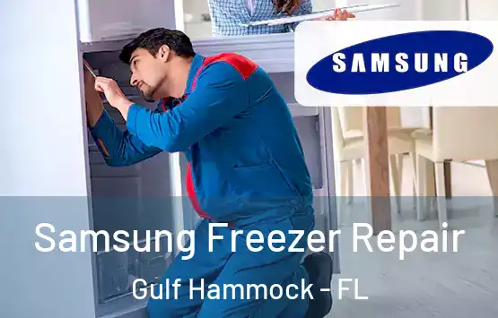  Samsung Freezer Repair Gulf Hammock - FL