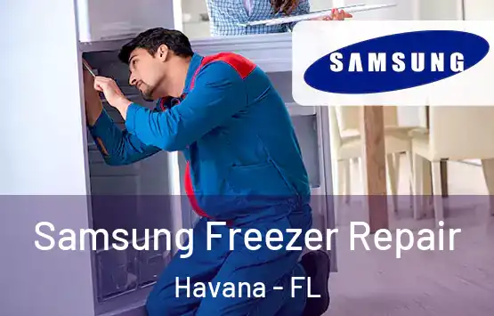  Samsung Freezer Repair Havana - FL