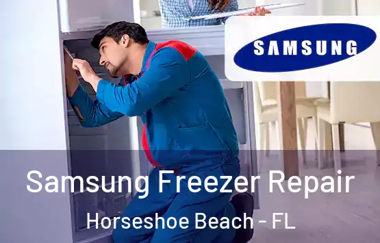  Samsung Freezer Repair Horseshoe Beach - FL