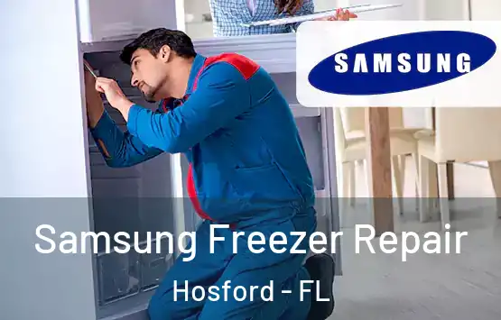  Samsung Freezer Repair Hosford - FL