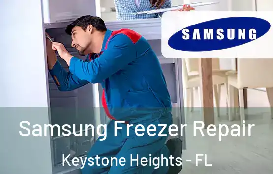  Samsung Freezer Repair Keystone Heights - FL