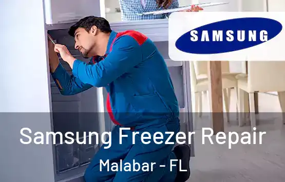  Samsung Freezer Repair Malabar - FL