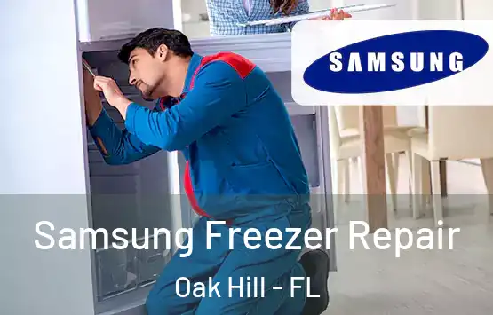  Samsung Freezer Repair Oak Hill - FL