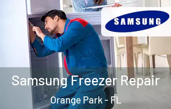  Samsung Freezer Repair Orange Park - FL
