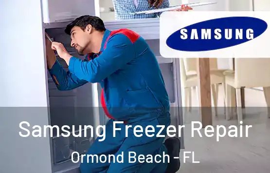  Samsung Freezer Repair Ormond Beach - FL