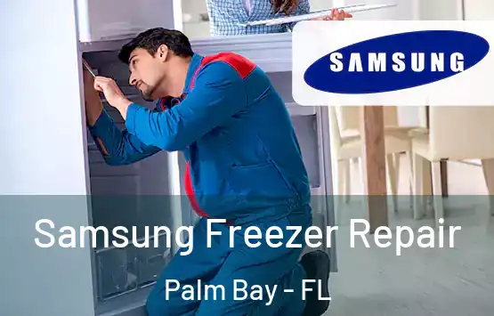  Samsung Freezer Repair Palm Bay - FL