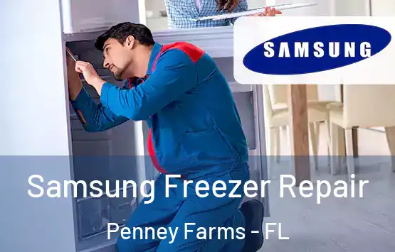  Samsung Freezer Repair Penney Farms - FL