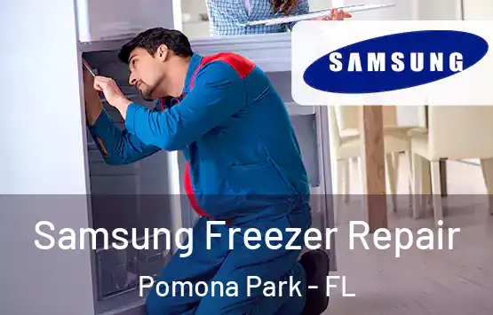  Samsung Freezer Repair Pomona Park - FL