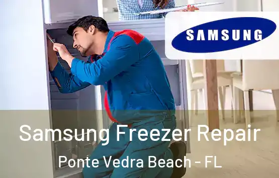  Samsung Freezer Repair Ponte Vedra Beach - FL