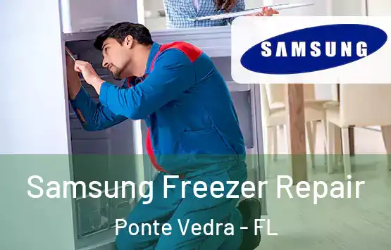  Samsung Freezer Repair Ponte Vedra - FL