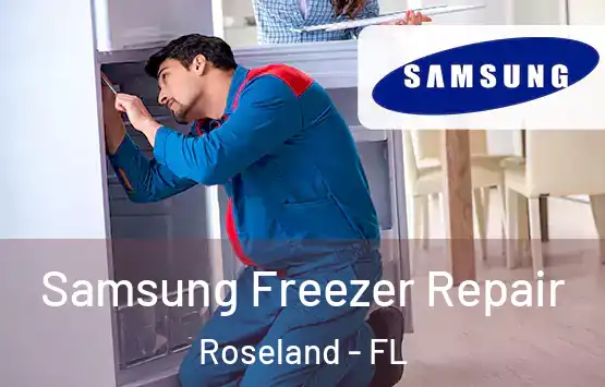 Samsung Freezer Repair Roseland - FL