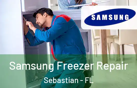  Samsung Freezer Repair Sebastian - FL