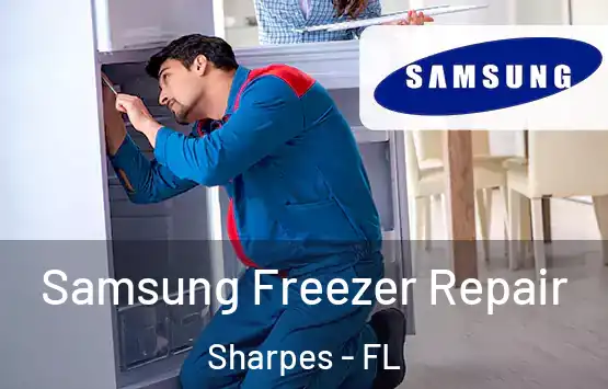 Samsung Freezer Repair Sharpes - FL
