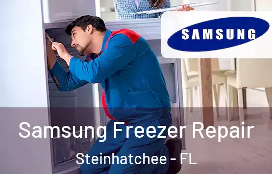  Samsung Freezer Repair Steinhatchee - FL