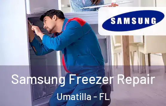  Samsung Freezer Repair Umatilla - FL