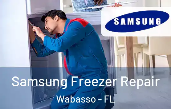 Samsung Freezer Repair Wabasso - FL