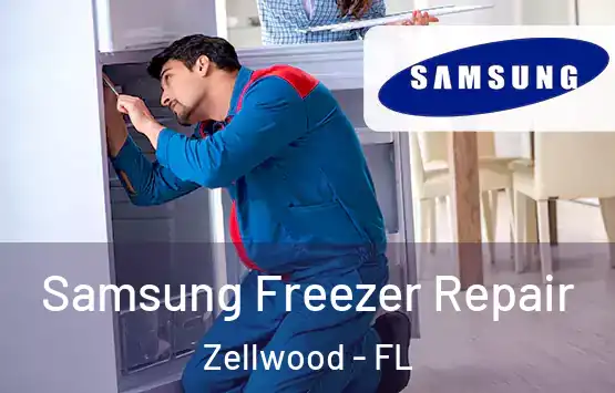  Samsung Freezer Repair Zellwood - FL