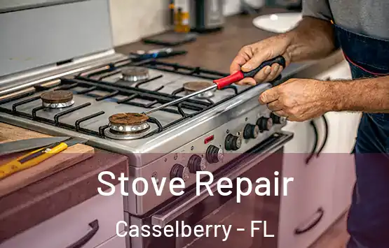  Stove Repair Casselberry - FL