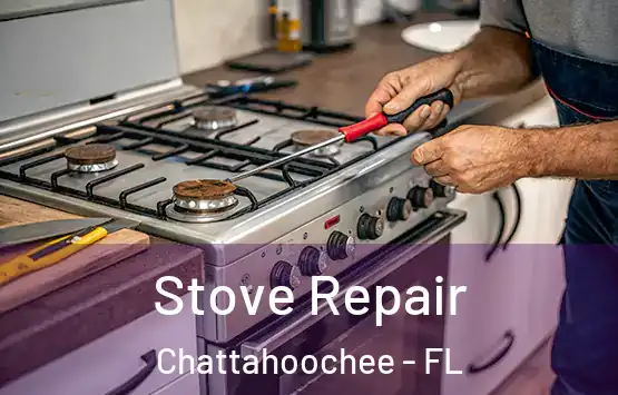  Stove Repair Chattahoochee - FL