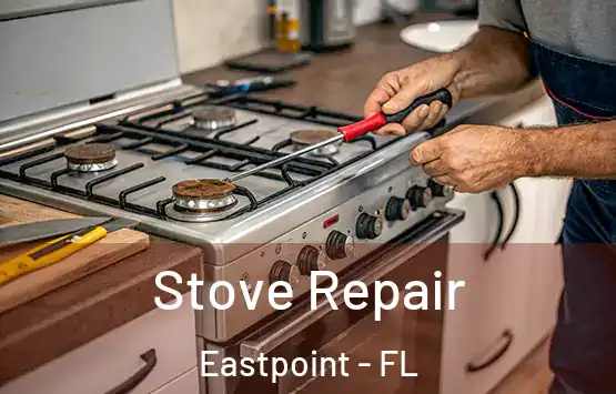  Stove Repair Eastpoint - FL