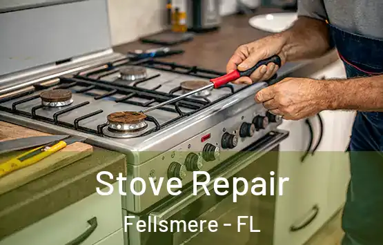  Stove Repair Fellsmere - FL
