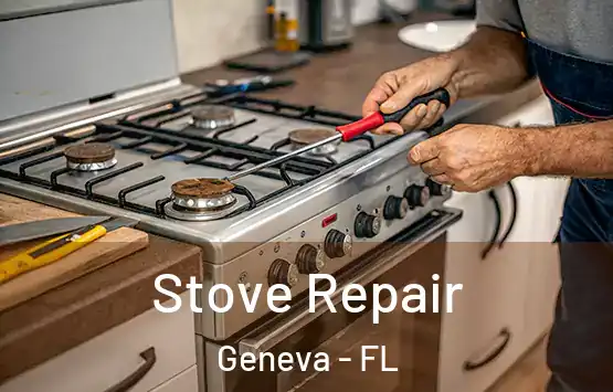  Stove Repair Geneva - FL