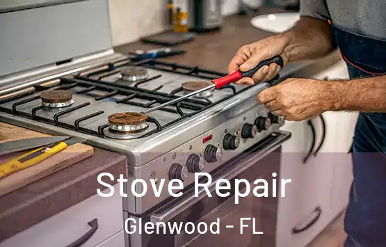  Stove Repair Glenwood - FL
