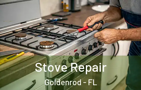  Stove Repair Goldenrod - FL