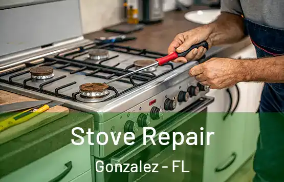  Stove Repair Gonzalez - FL