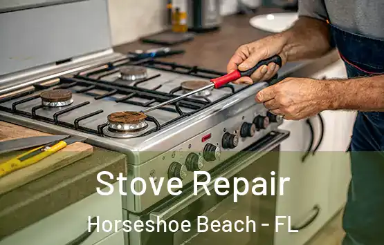  Stove Repair Horseshoe Beach - FL