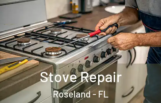  Stove Repair Roseland - FL