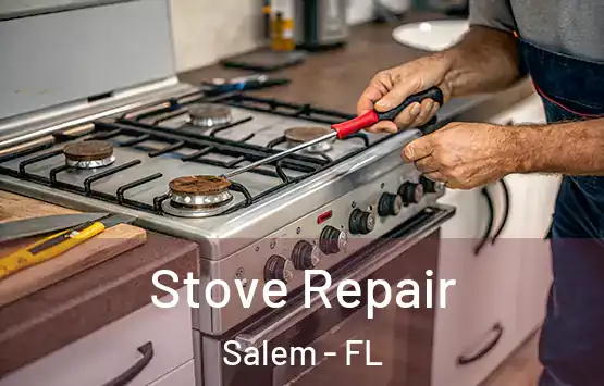  Stove Repair Salem - FL