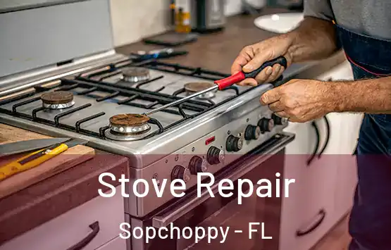  Stove Repair Sopchoppy - FL