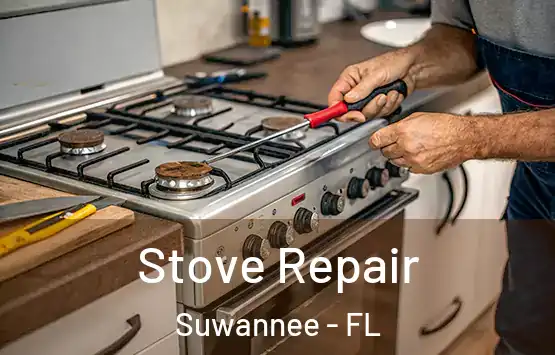  Stove Repair Suwannee - FL