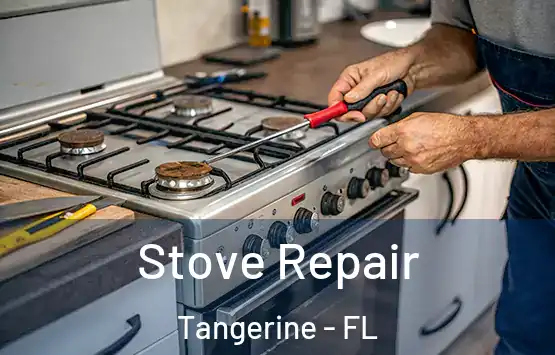  Stove Repair Tangerine - FL