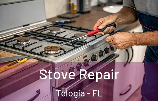  Stove Repair Telogia - FL